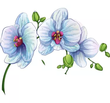 White orchid flower wall decal - TenStickers