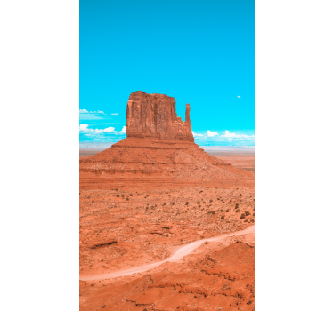 USA desert fridge decals - TenStickers