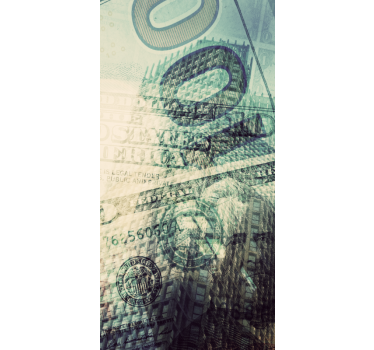 Currency Overlay fridge sticker - TenStickers