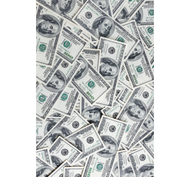 Currency motif fridge sticker - TenStickers