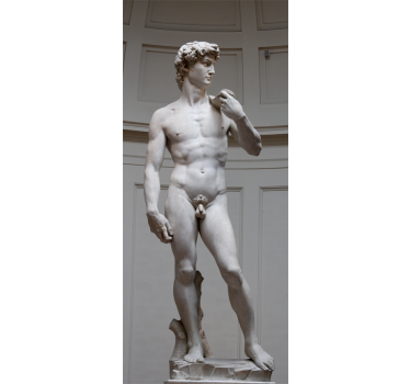 Fridge Sticker David Michaelangelo - TenStickers