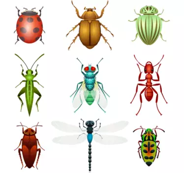 Different bug collection living room wall sticker - TenStickers