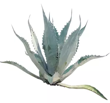 Agave Plant Sticker - TenStickers