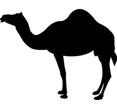 Camel Silhouette Wall Sticker - TenStickers