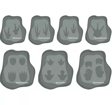 Dinosaur Footprints Kids Wall Decal - TenStickers