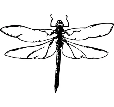 Dragonfly illustration insect wall sticker - TenStickers