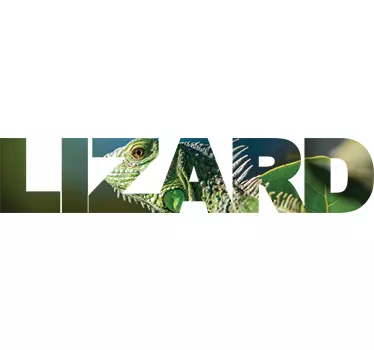 Gecko Lizard Wall Sticker - TenStickers