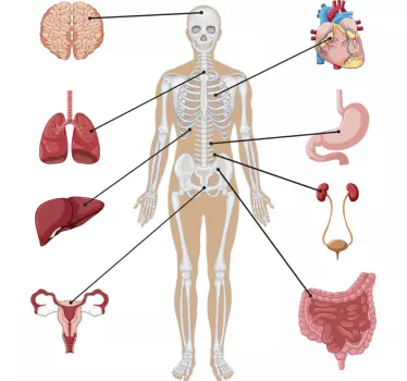 Medical infographics wall decor - TenStickers