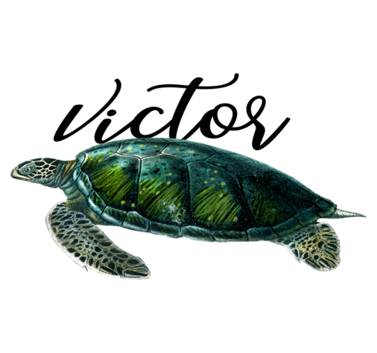 Animal vinyl rug with customizable turtle design - TenStickers