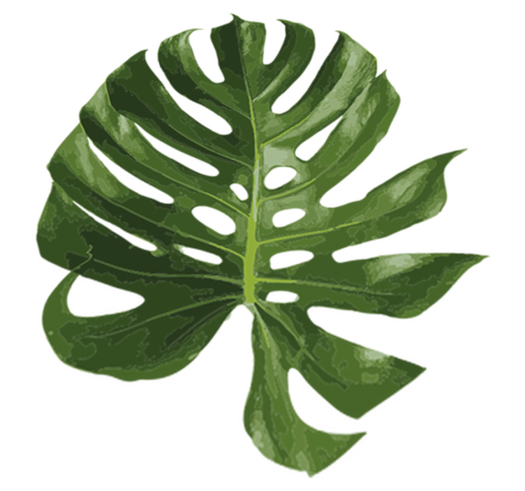 Flower vinyl rug with delicious monstera leaf - TenStickers