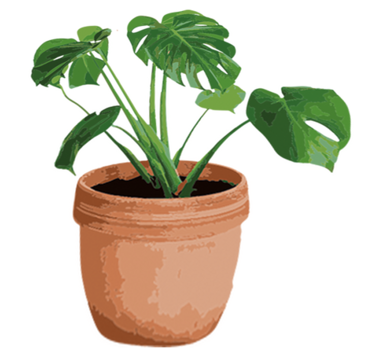 Flower vinyl rug simple monstera planter - TenStickers