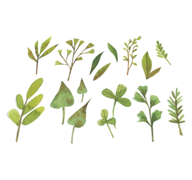 Aquarella small leaves flower vinyl rug - TenStickers
