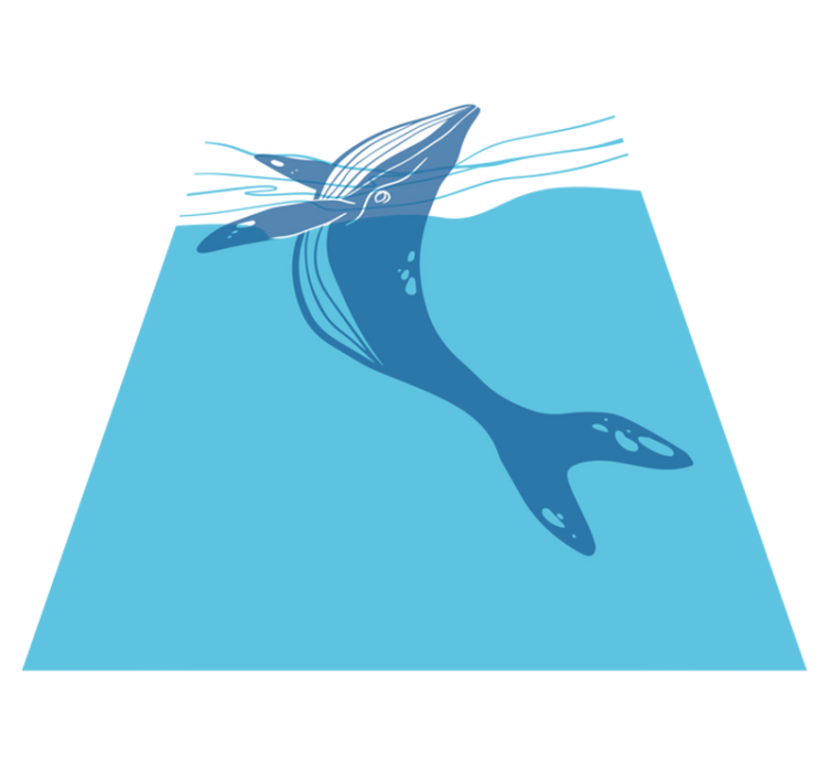 Bathroom vinyl rug with whale shower screen decals - TenStickers