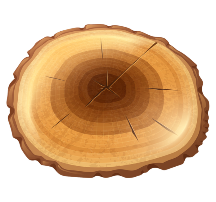 Round tree wood vinyl carpet - TenStickers