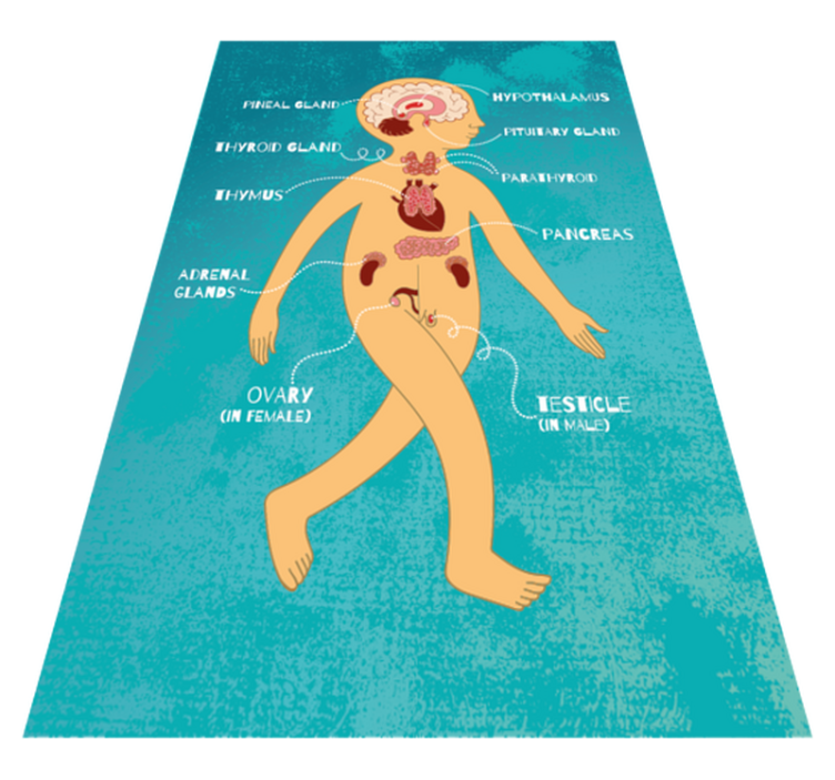 Classic operation game vintage rug - TenStickers