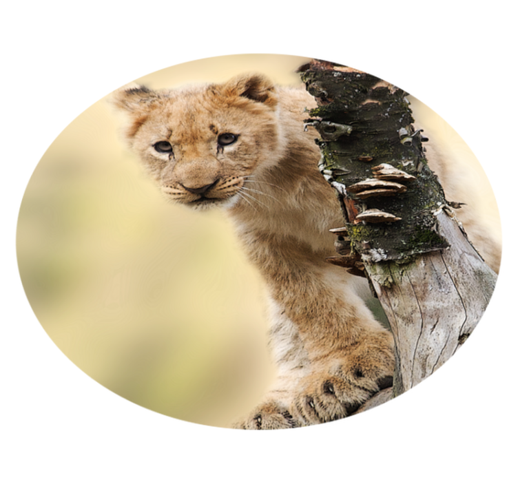 Curious Lion Cub animal print vinyl rug - TenStickers