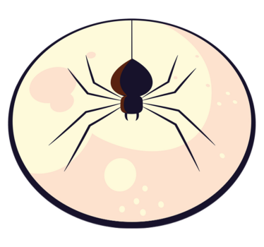 Realistic black spider animal vinyl carpet - TenStickers
