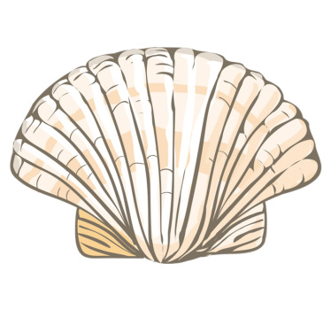 Big seashell animal mat - TenStickers