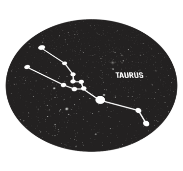 Zodiac sign Taurus  contemporary rugs - TenStickers