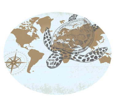 Turtle map  animal mat - TenStickers