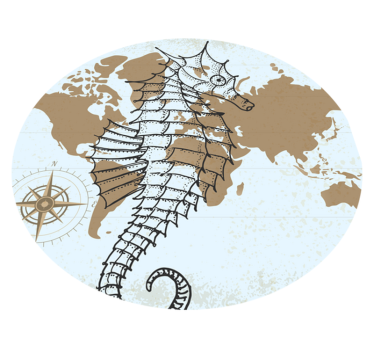 Seahorse map animal mat - TenStickers