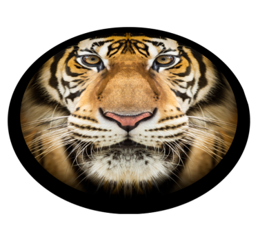 Realistic Tiger animal mat - TenStickers