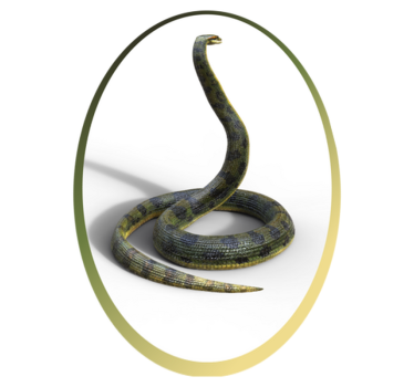 Realistic Snake animal mat - TenStickers