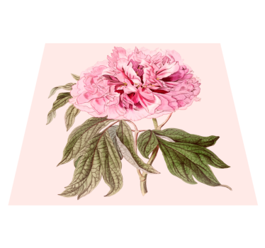Pink Peony Blossom flower vinyl rug - TenStickers