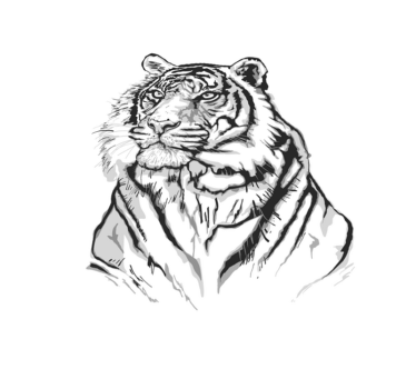 White tiger face animal mat - TenStickers