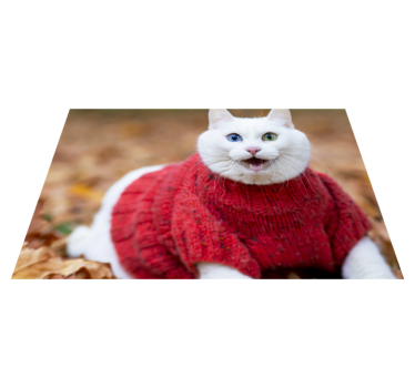 Animal cute smiling cat animal mat - TenStickers