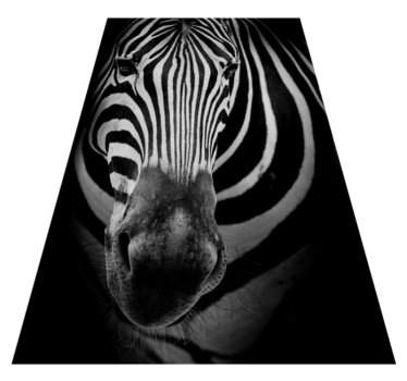 Zebra face animal print vinyl rug - TenStickers