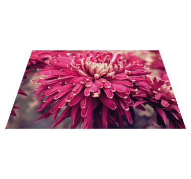Big flowers design flower rug - TenStickers