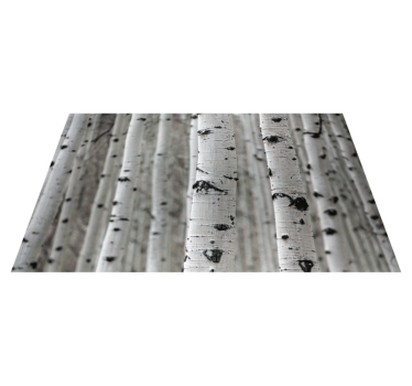 White birch tree forest texture rug - TenStickers