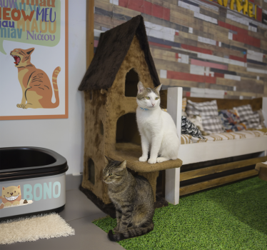 Realistic Green Grass vinyl rugs - TenStickers