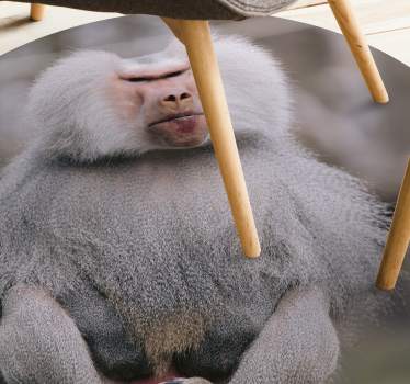 Animal cool monkey vinyl rug - TenStickers
