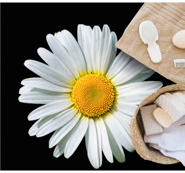 Black and white daisy flower flower rug - TenStickers