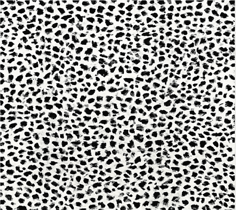 Monochrome Leopard Print dining room vinyl rug - TenStickers