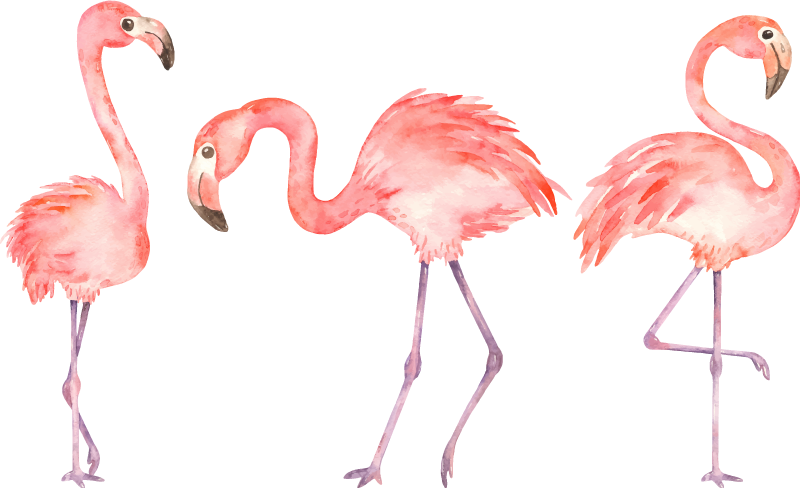 Elegant flamingo trio animal vinyl rug - TenStickers