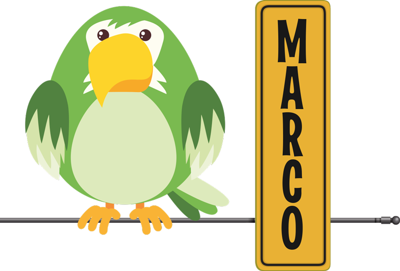 Animal vinyl rug wild parrot design with name - TenStickers