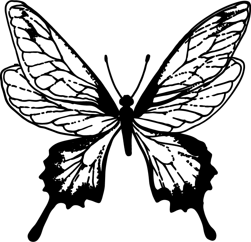 Animal vinyl rug graceful butterfly outline - TenStickers