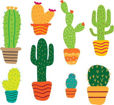 Flower vinyl rug colorful cactus set - TenStickers