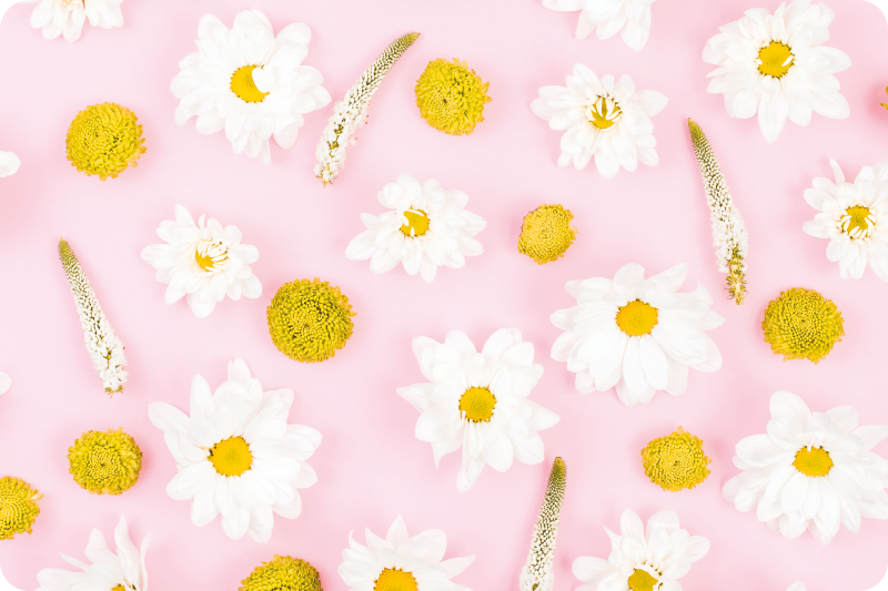 Coloured flowers flower vinyl rug - TenStickers