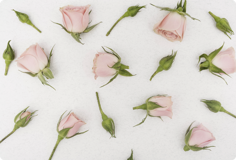 Romantic spring flower flower vinyl rug - TenStickers