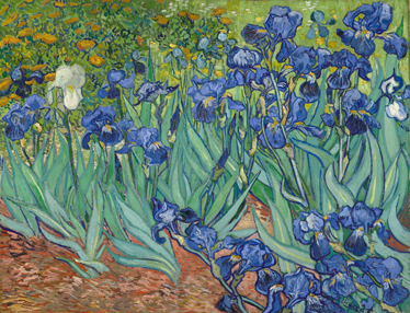 Flower vinyl rug inspired by van gogh flowers - TenStickers