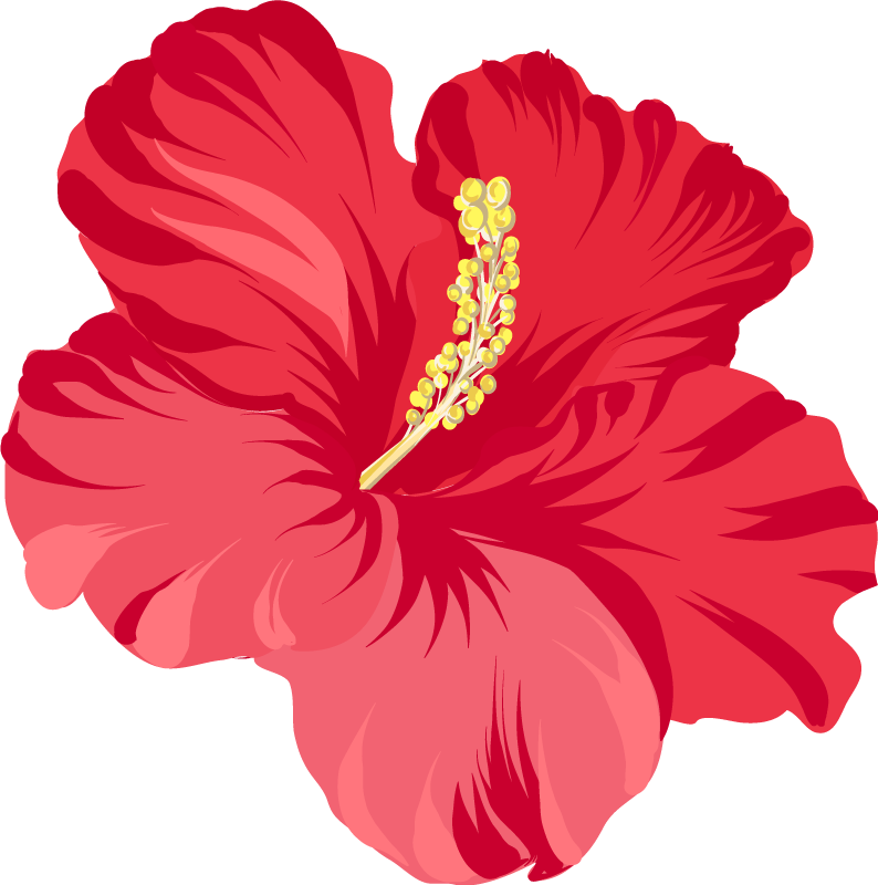 Flower vinyl rug red hibiscus flower design - TenStickers