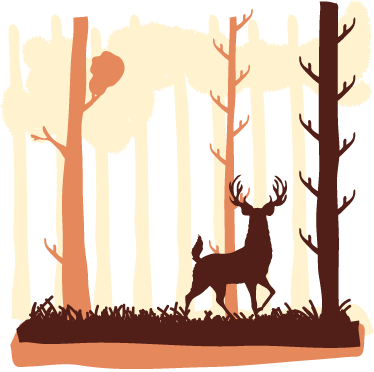 Nature vinyl rug with brown forest and deer - TenStickers