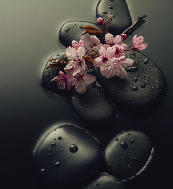 Nature vinyl rug for a zen stone bathroom ambiance - TenStickers