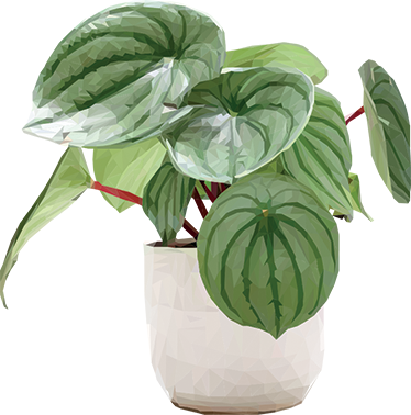 Flower vinyl rug simple houseplant design - TenStickers