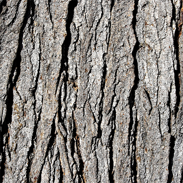 Textured vinyl rug with realistic bark design - TenStickers