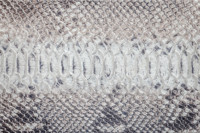 Gray vinyl rug with grey snake print pattern - TenStickers